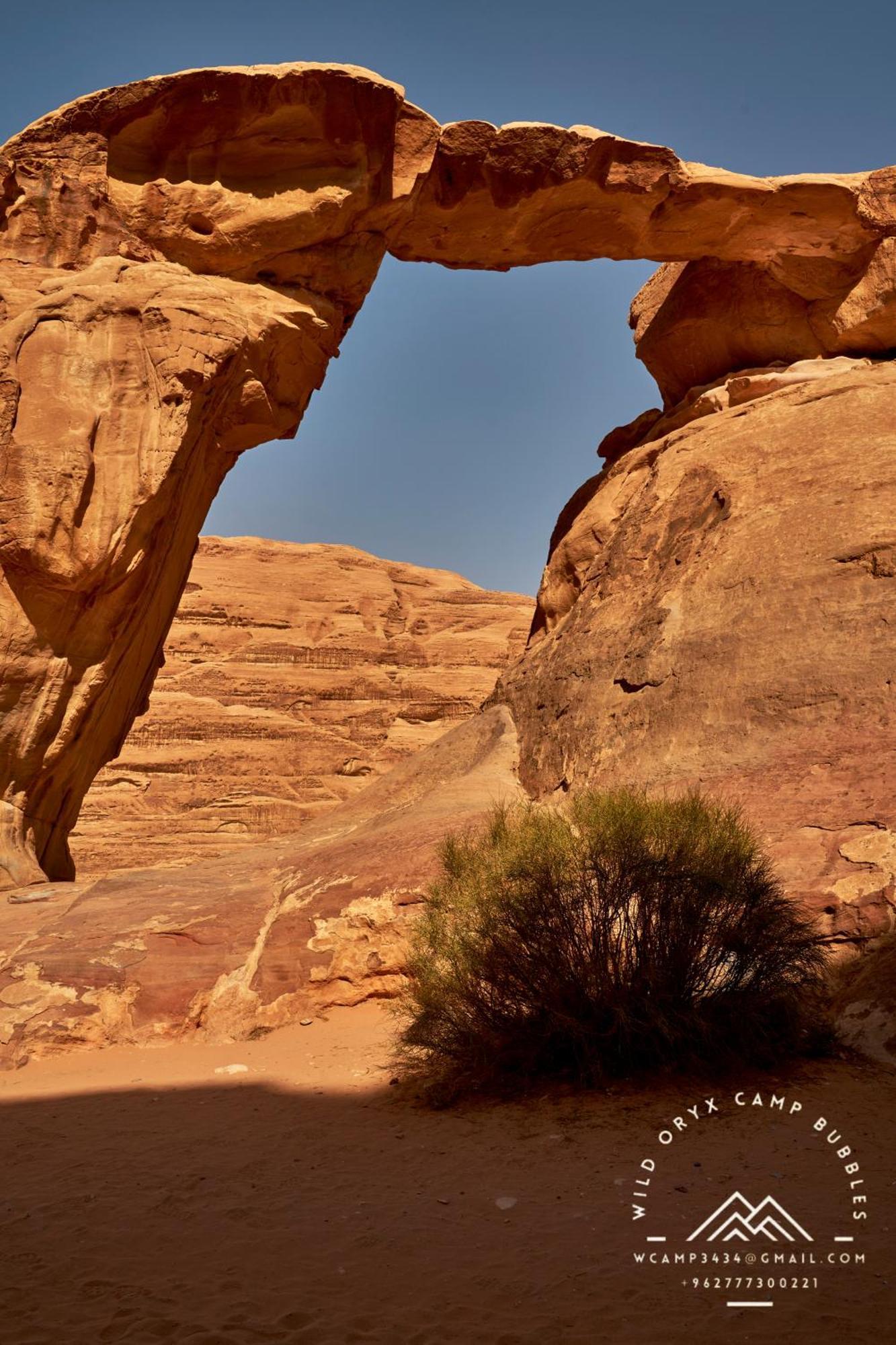Wild Oryx Camp Bubbles Tente de luxe Wadi Rum