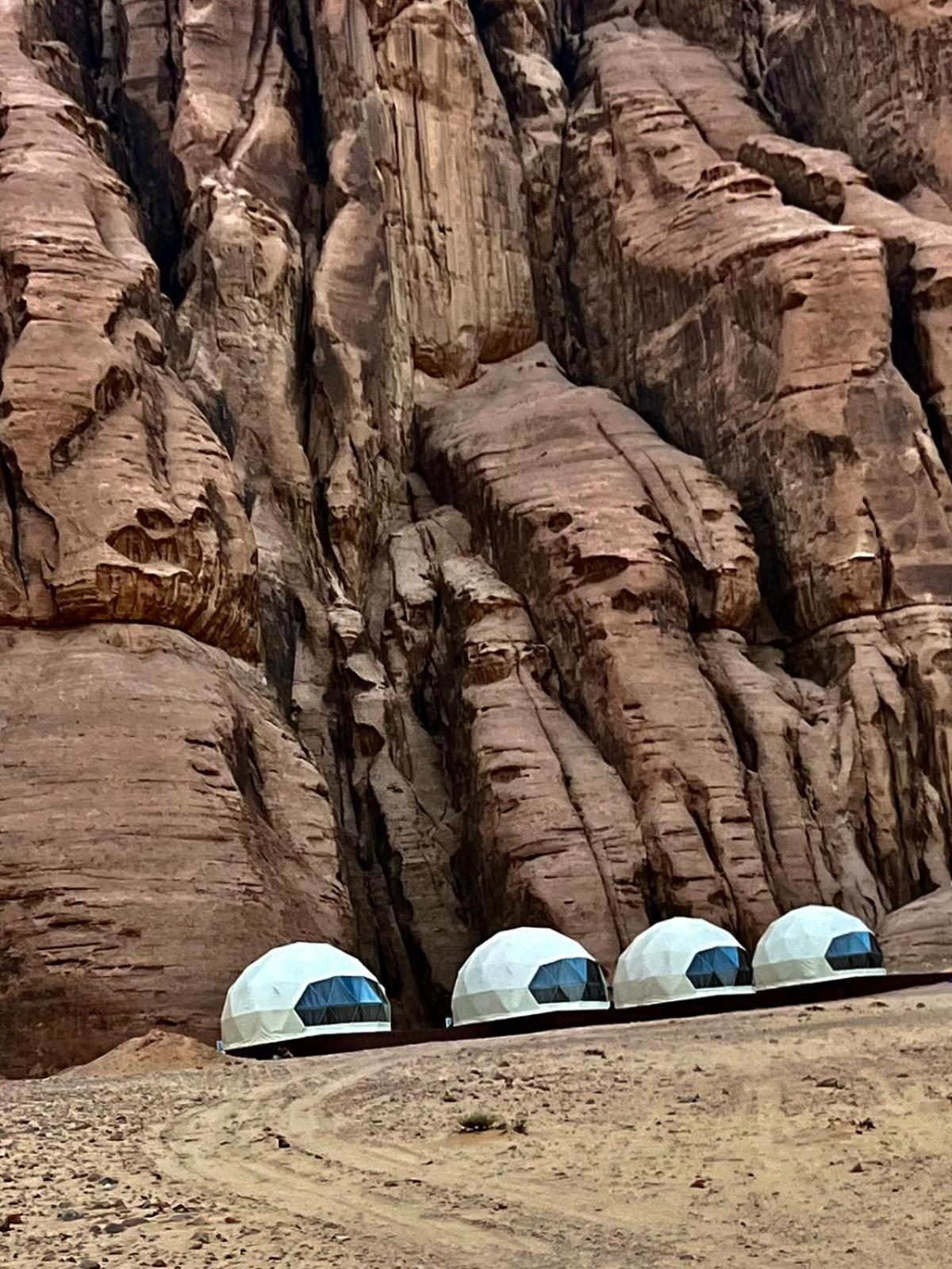Wild Oryx Camp Bubbles Wadi Rum