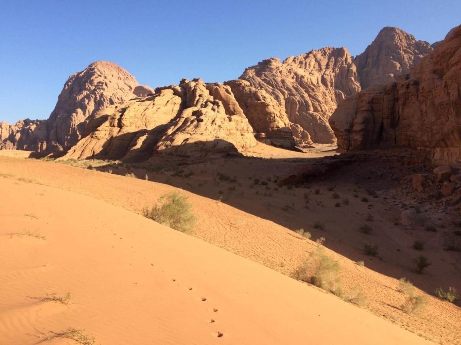 Tente de luxe Wild Oryx Camp Bubbles Wadi Rum