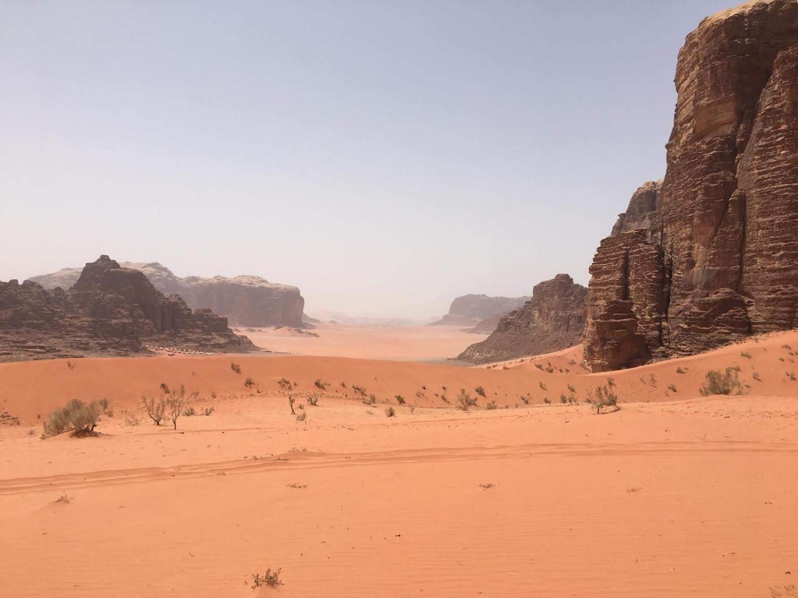 Wild Oryx Camp Bubbles Tente de luxe Wadi Rum