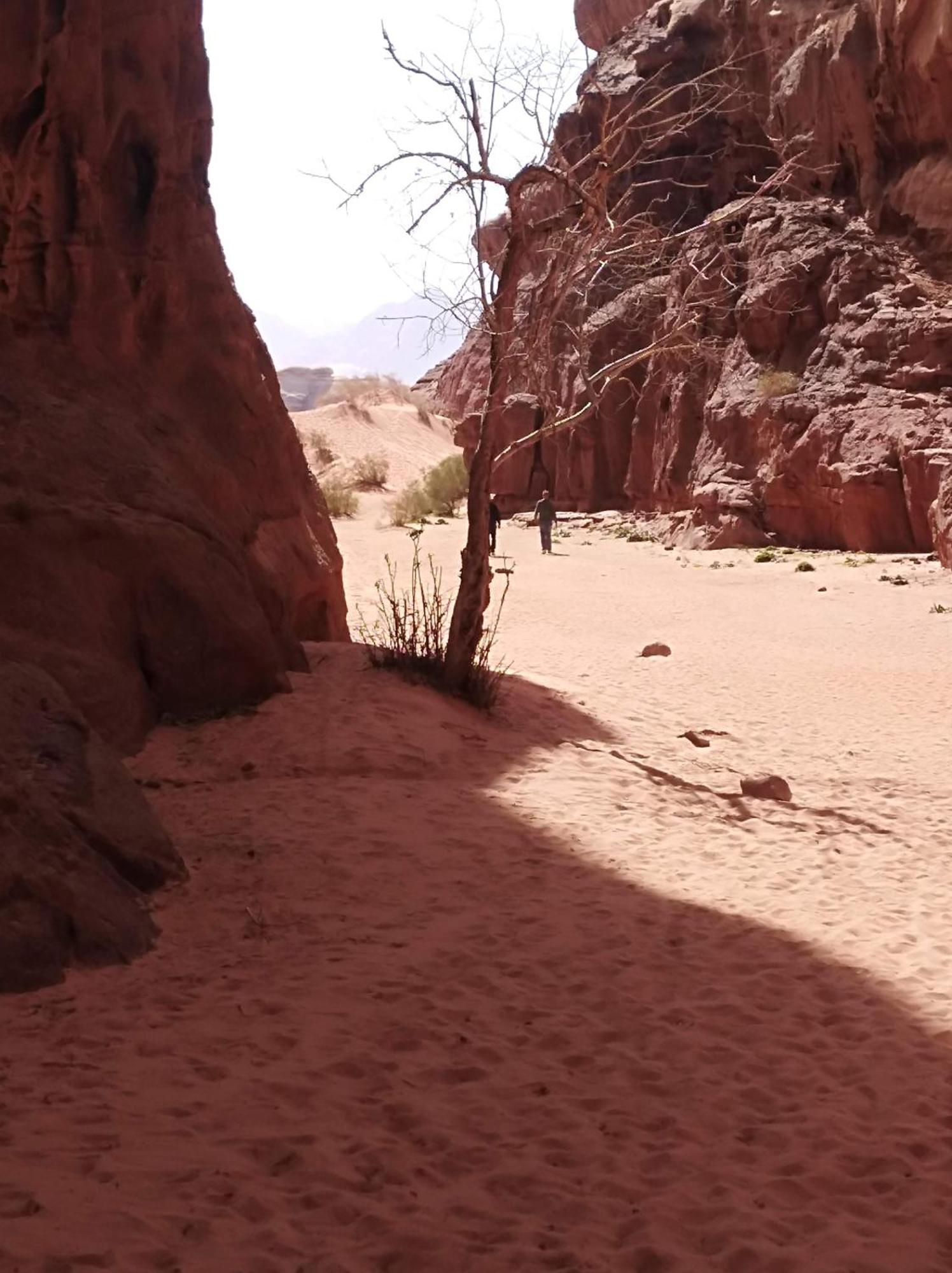Wild Oryx Camp Bubbles * Wadi Rum